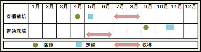 栽培カレンダー.jpg